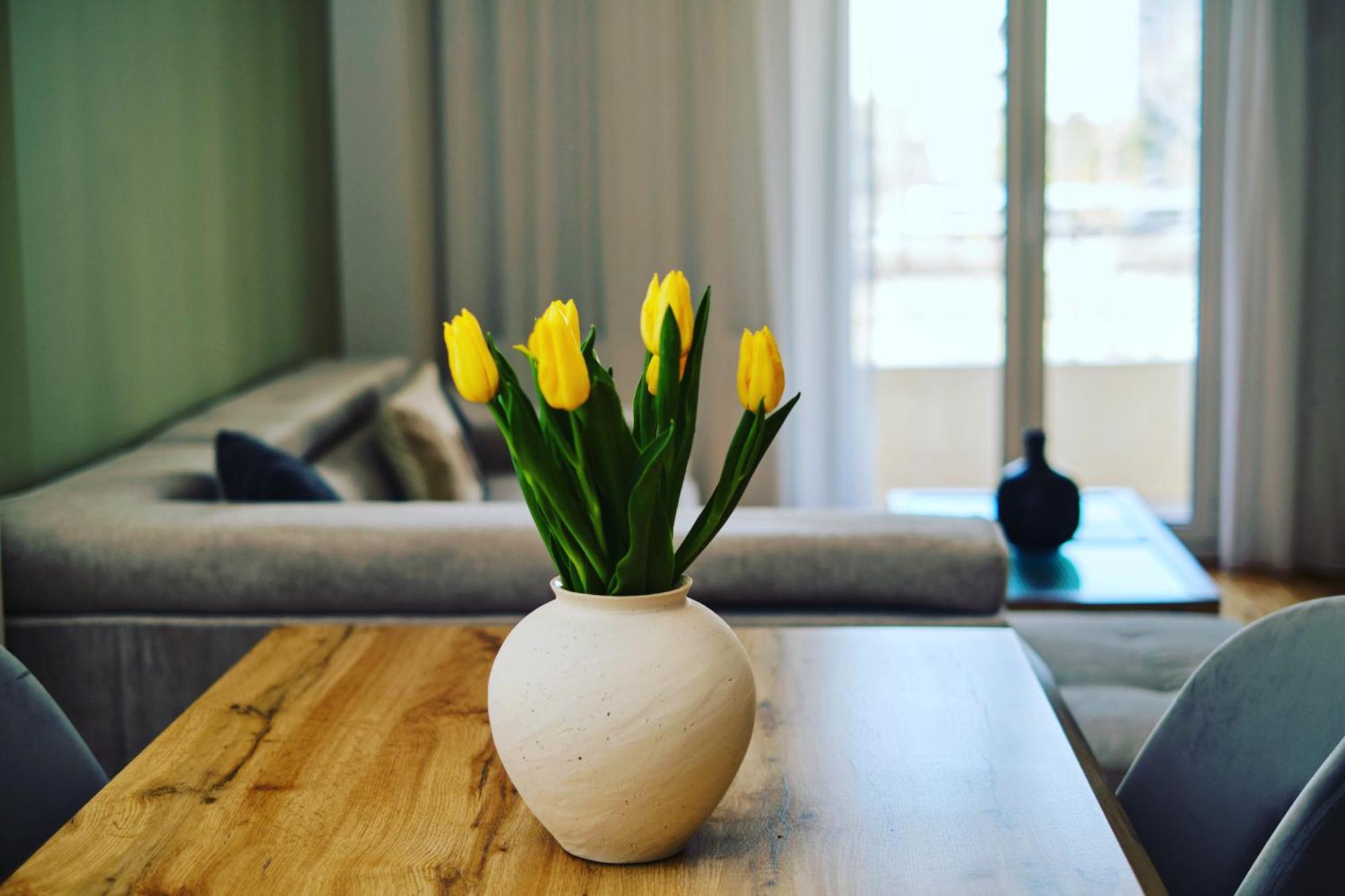 “The Elysian” City Center Apartment Thessaloniki Buitenkant foto